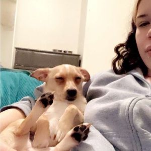 Meet your Posher, Alexander